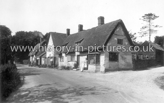 The Village, Ashdon, Essex. c.1910